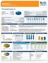 Icon of CNL Strategic Capital December 31, 2022