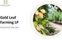 Icon of Gold Leaf Farming LP Opportunity - Short Overview