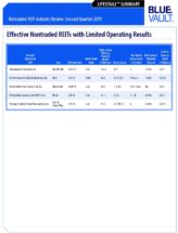 Icon of Nontraded REIT Review Q2 2019 - Effective Nontraded REITs With Limited Operating Results