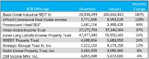 Icon of January NTR Capital Raise Chart I (1)