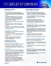 Icon of The CARES Act Key Components Overview (1)
