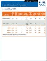 Icon of Life Stage Summary Q1 2021