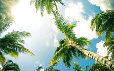 Bluerock Residential Growth REIT Sells Boca Raton Apartment Community