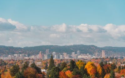 A Quick Look at Nontraded REIT Properties in Riot-Torn Cities