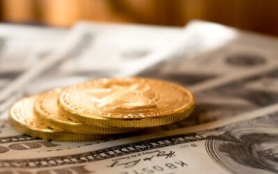 Of all the nontraded REITs tracked by Blue Vault, which offerings reported the most assets as of June 30, 2025?