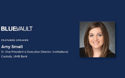 Amy Small: Fraud