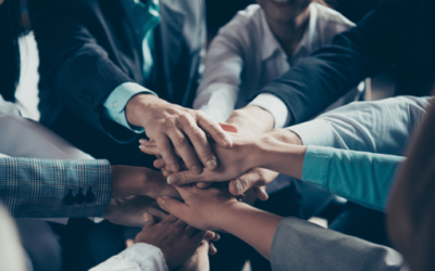 SEI Announces Strategic Partnership with Graphene