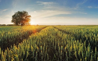 Gladstone Land Announces Fourth Quarter and Year Ended 2022 Results