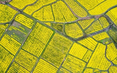 Gladstone Land Provides Business Update