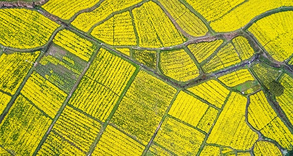 Gladstone Land Provides Business Update