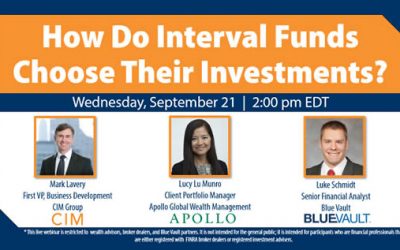 Lucy Lu Munro: Dislocated Credit Defined