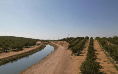 ESG: More than a Buzzword in Farmland Investing