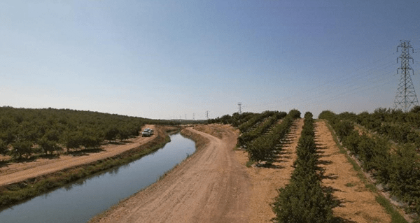 ESG: More than a Buzzword in Farmland Investing