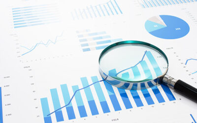 Inside the Vault: An Exclusive Look at Individual Performance