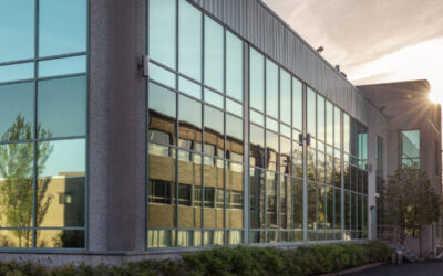 The Golden Age of Net Lease?