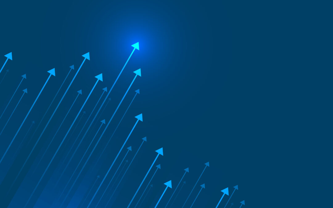 Blue Owl Capital Inc. Second Quarter 2024 Results