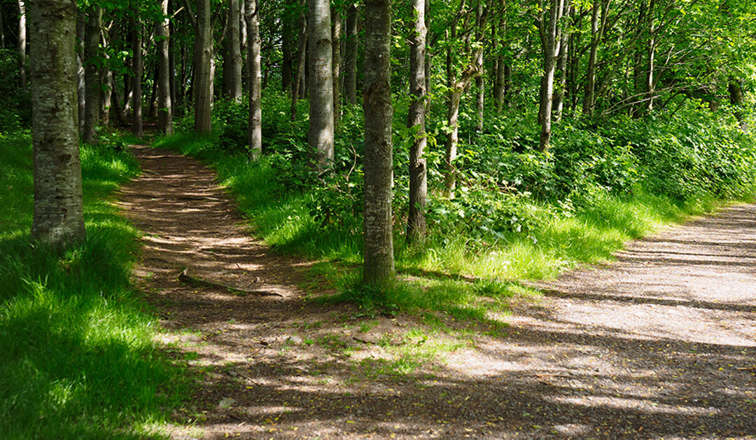 The dividends of policy divergence